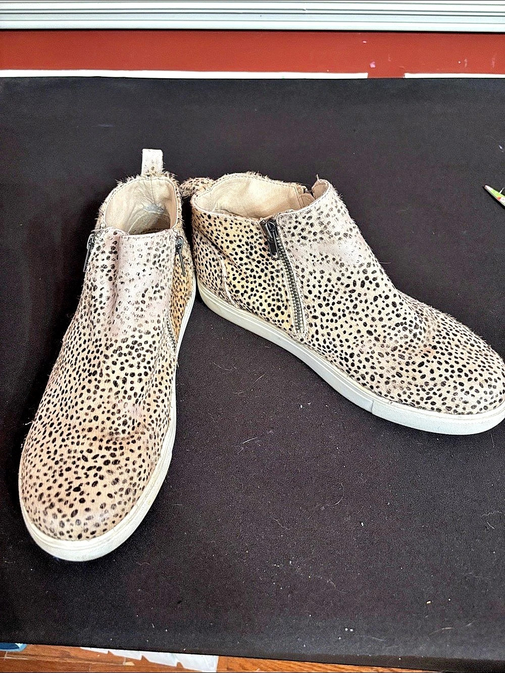 Coconuts by Matisse Goya High-Top Sneaker Leopard Print Zip Sneakers